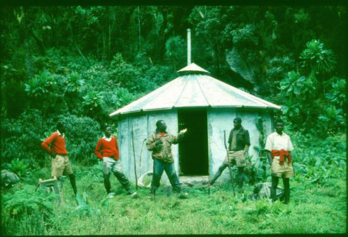 Bigo Hut