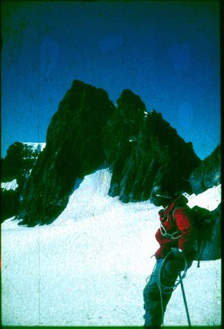 Rwenzori - Point Elena
