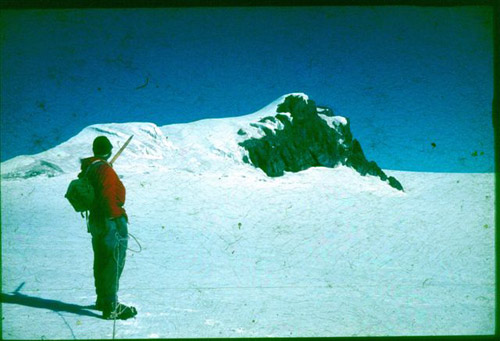 Rwenzori - Point Savoia